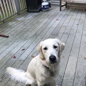 Meet your Posher, Marcia